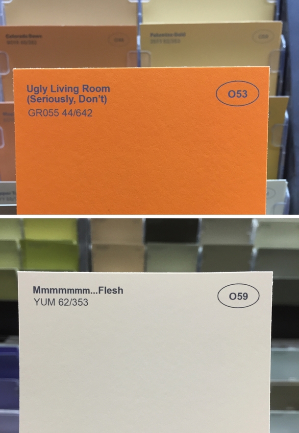 Pic #6 - I renamed some of the paint colors at the hardware store