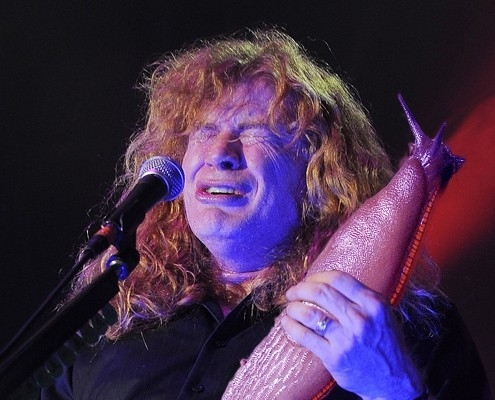 Pic #6 - Rockstars soloing with giant slugs explains the faces