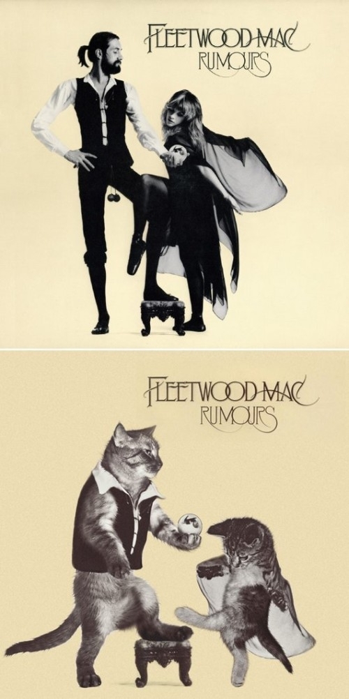 Pic #7 - What can make classic rock albums better Kittens can