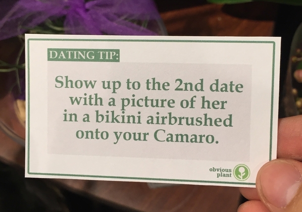 Pic #8 - I left some free dating advice in the floral department of a grocery store
