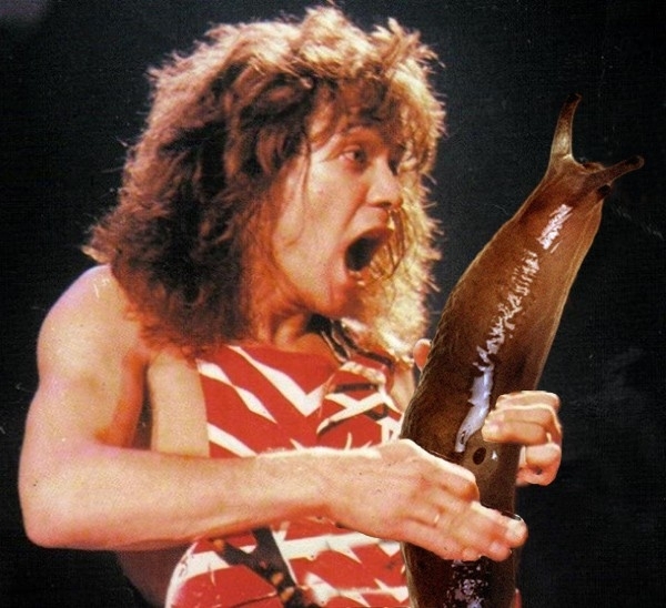 Pic #8 - Rockstars soloing with giant slugs explains the faces
