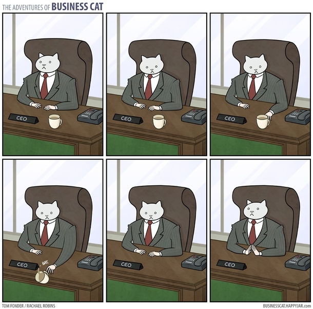 Pic #8 - The adventures of business cat
