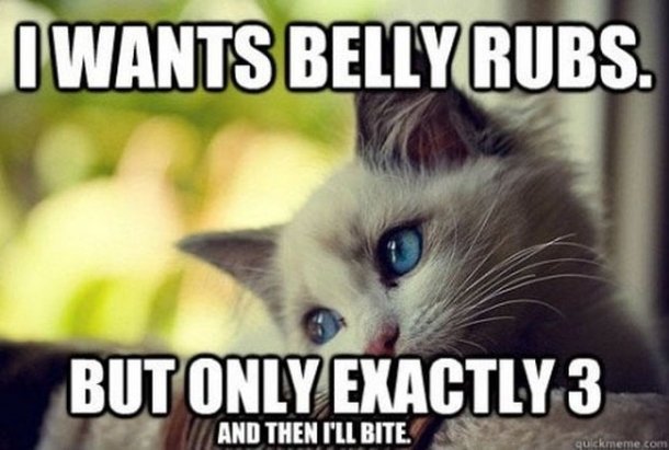 Pic #9 -  Hilarious Struggles Only Cat People Can Understand