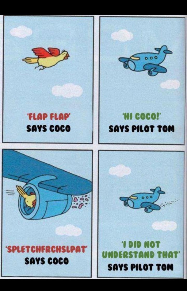 Pilot Tom