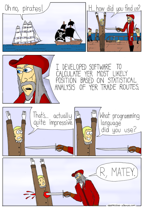 Pirates and Software