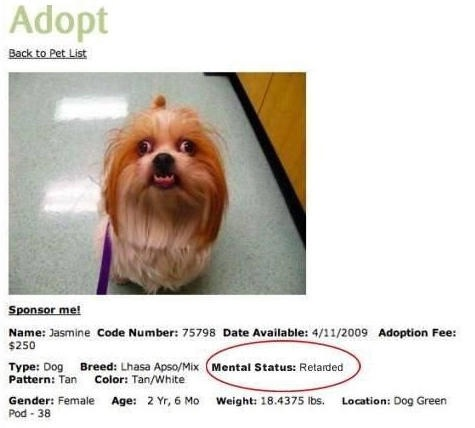 Please adopt me