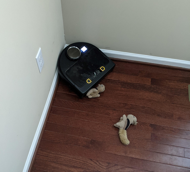 Poor abused robot vacuum cornered and defeated by squirrels