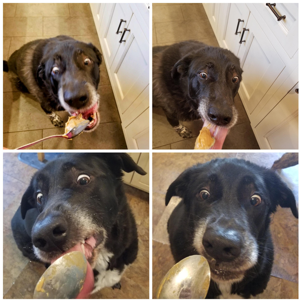 Porters peanut butter eyes collage