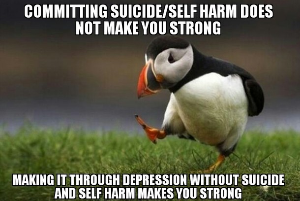 Praising people who committed suicide just leads to others justifying suicide for themselves