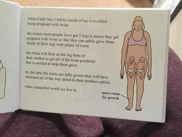 Pregnancy books nowadays are something else