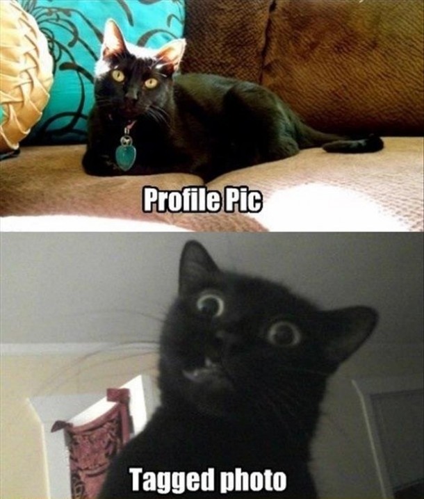 Profile pics vs tagged photos 