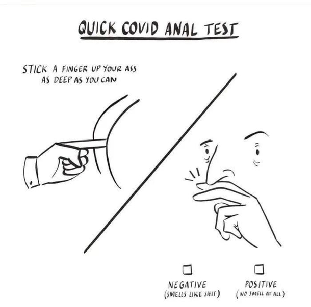 Quick COVID- Anal test