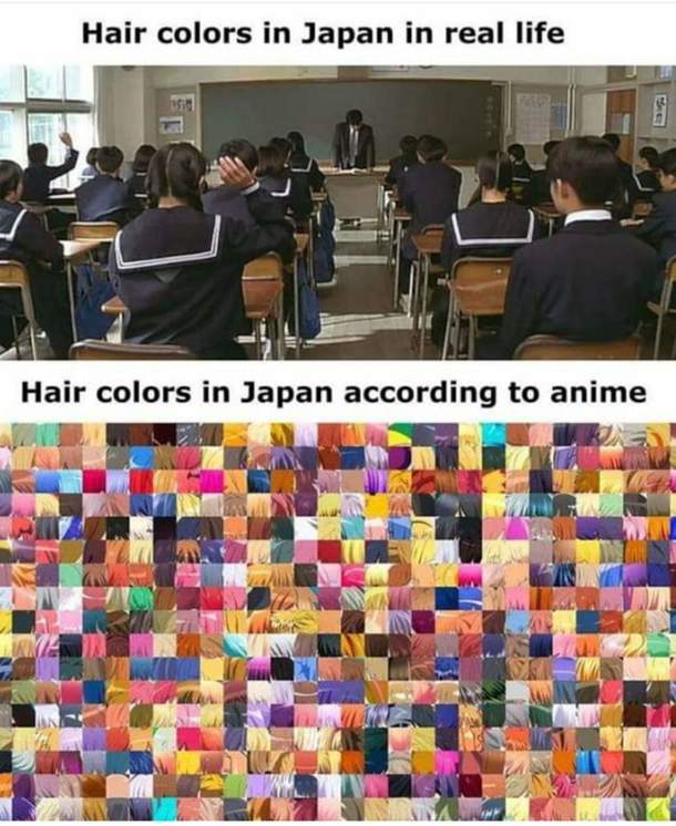 Real Japan vs Anime