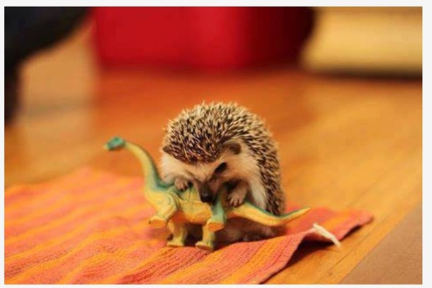 Reinactment of how the dinosaurs became extinct