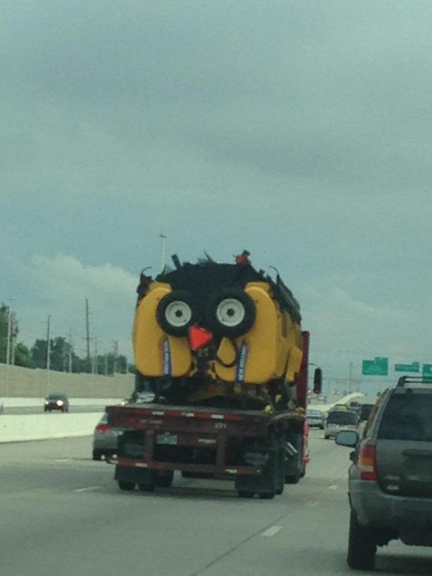 Saw a HUGE chicken going down the interstate