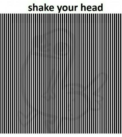 Shake your head