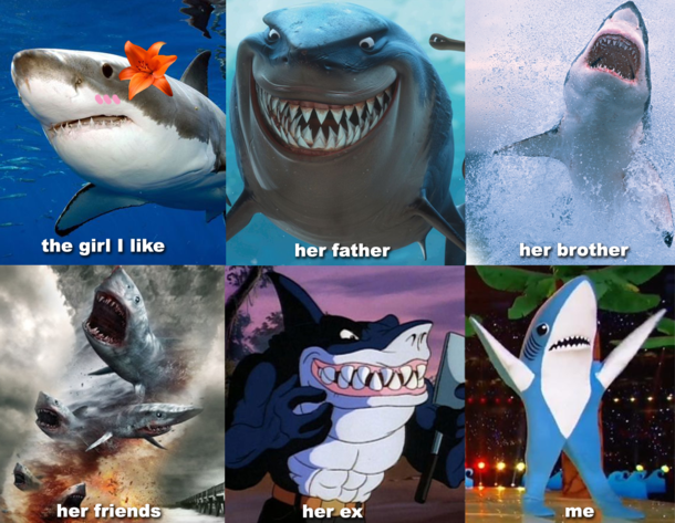 Shark romance isnt easy
