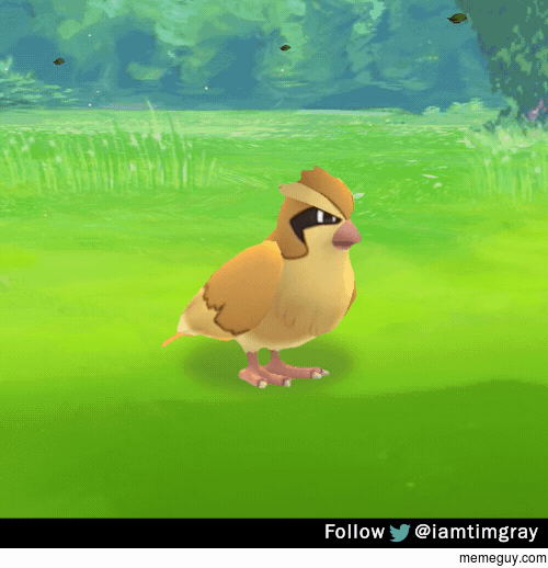 Since PokemonGo updated I updated my GIF