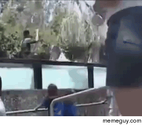 Six Flags trainer prevents a Tiger attack by punching it in the face