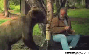 Slapping a bear