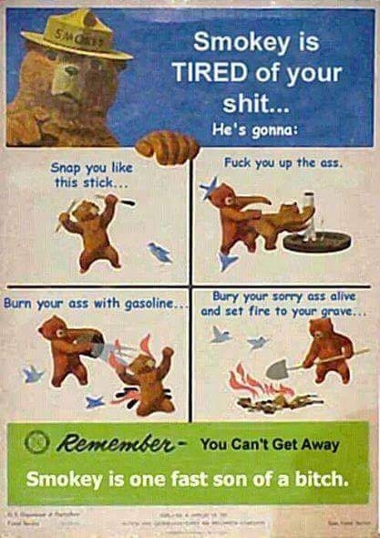 Smokey the Bear is tired of your shit