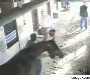 Sneaky horse knocks over a man