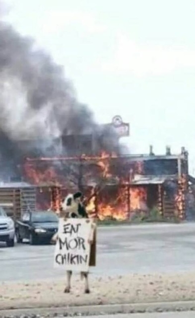 So a Coltons Steakhouse burned down in my town yesterday