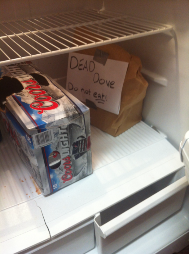 Someone left this in my fridge after a party last night Im afraid to open it