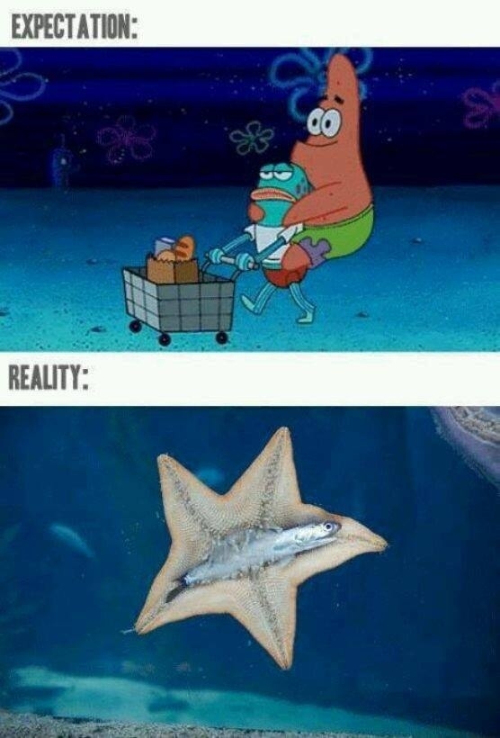 Spongebob expectation vs reality