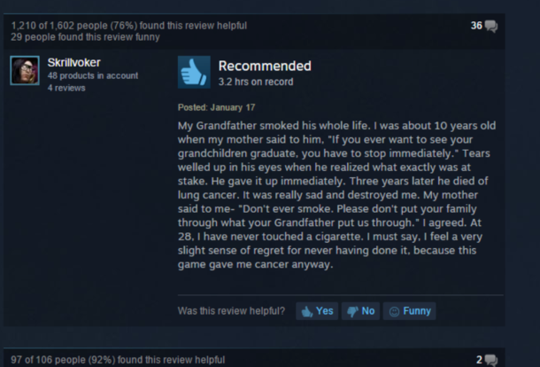 Steam reviews always need a little background