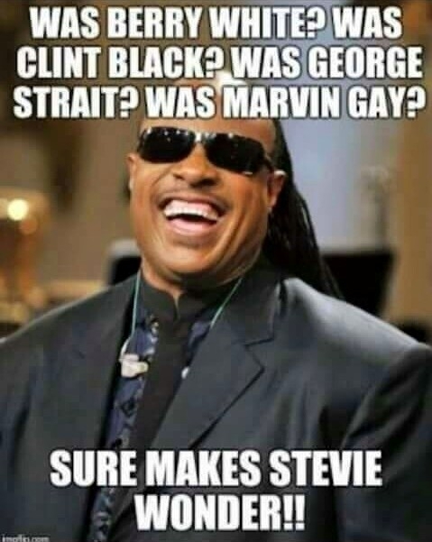 Stevie Wonders about a lot of things