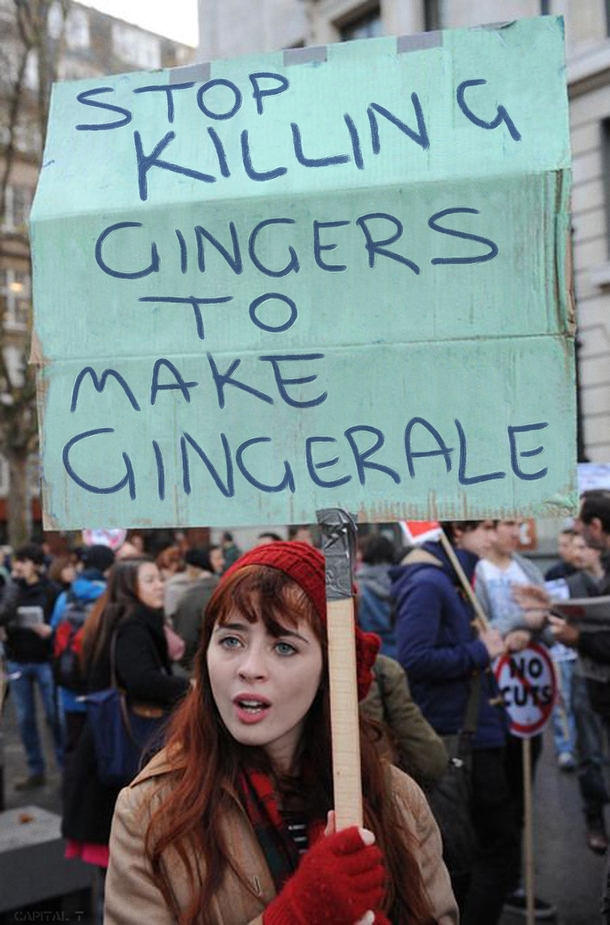 Stop Killing Gingers