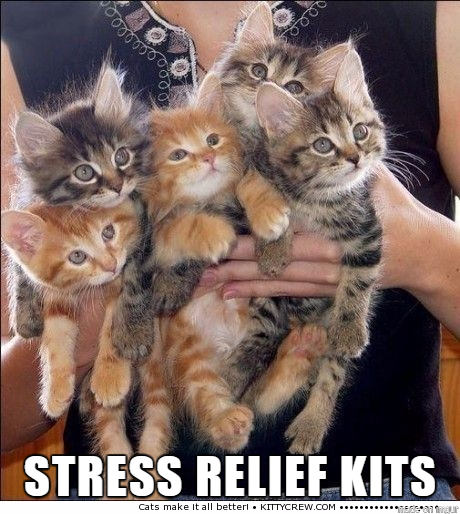 Stress Relief Kits