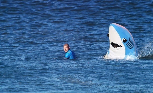 Streamer.co.il :: OZ encounter: Shark survives attack by Australian surfer