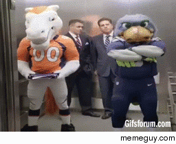 Superbowl Rivalry