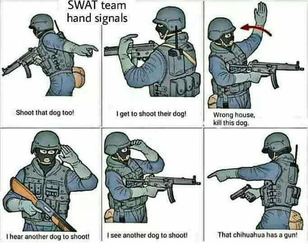SWAT team hand signals