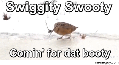 Swiggity swooty