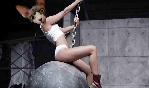 Texted my husband and told him out cat was wreaking havoc through the house He made this gem then sent it to me lol