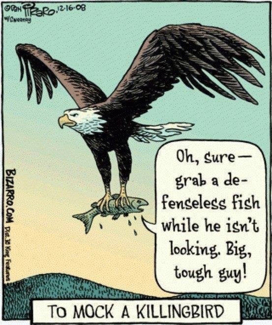 Thats a very literary minded fish