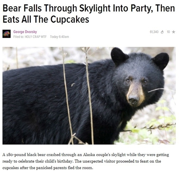 Thats my kind of bear