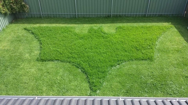 The bosses wife asked him to mow the lawn This is what she got