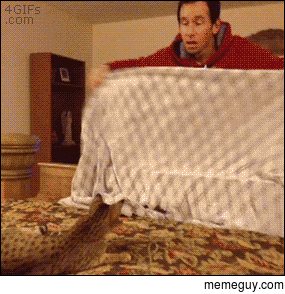 The Cat and the Magic Trick