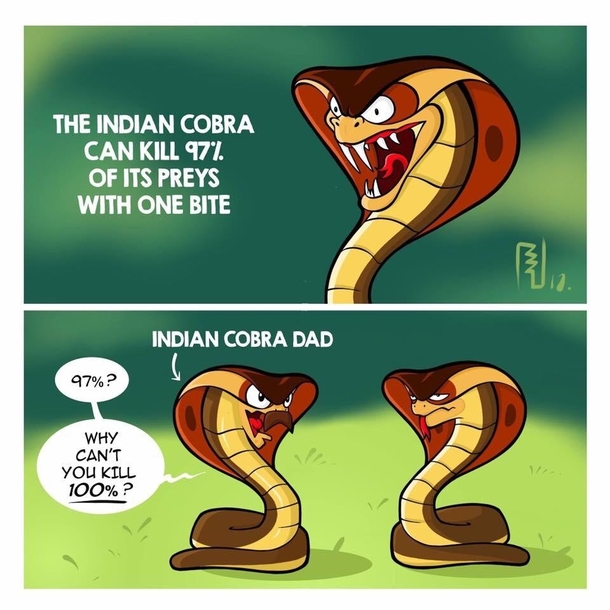 The Indian Cobra is kill machine  errr