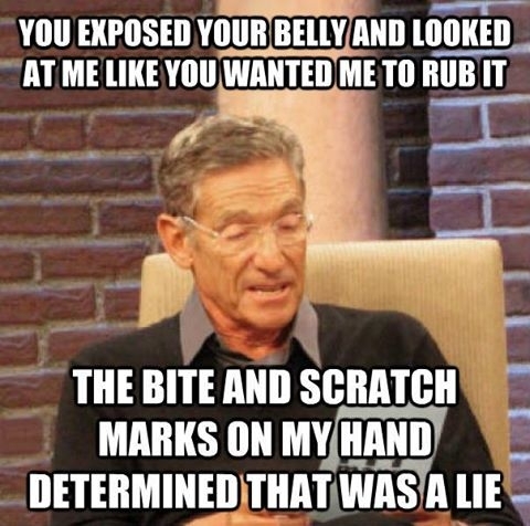 The lie detector determined that was a lie