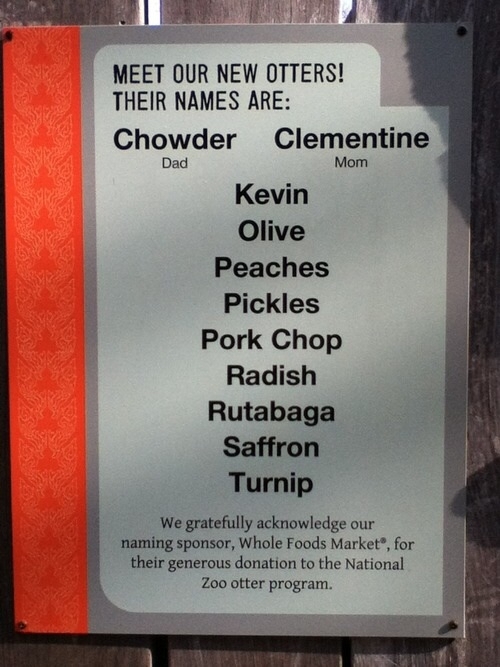 The new zoo otters are all named after food except