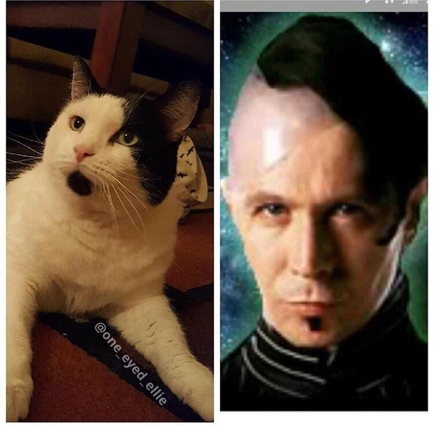 The resemblance is uncanny