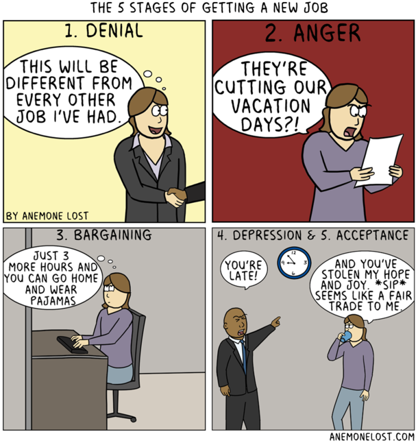 The  stages of getting a new job