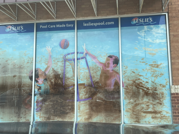 The window screen photos at Leslies Pool degraded and now the children are swimming in literal diarrhea