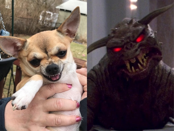 There is no Abbey only Zuul