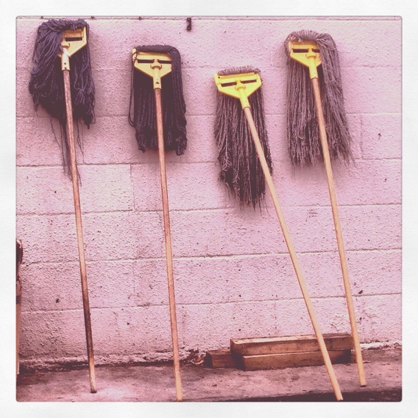 these mops behind a local chinese food place look like a bitchy and aloof girl gang